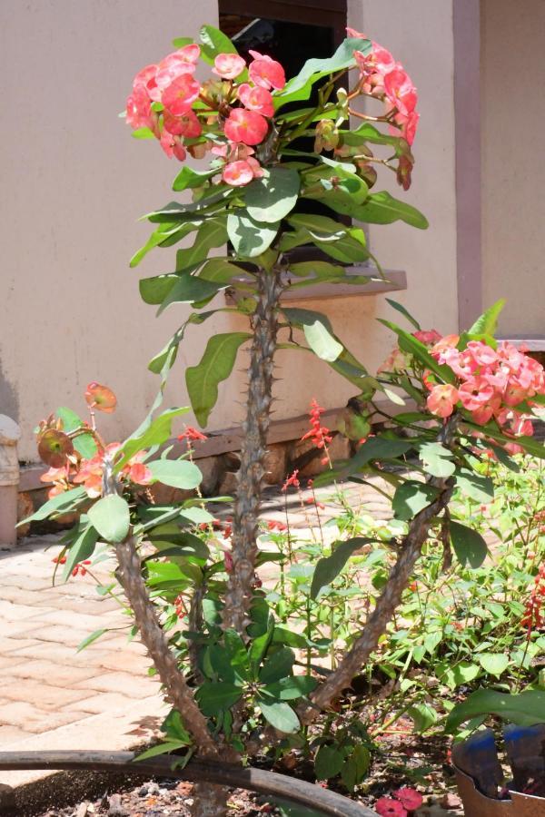 Golden Cherries Guest House Jinja Esterno foto